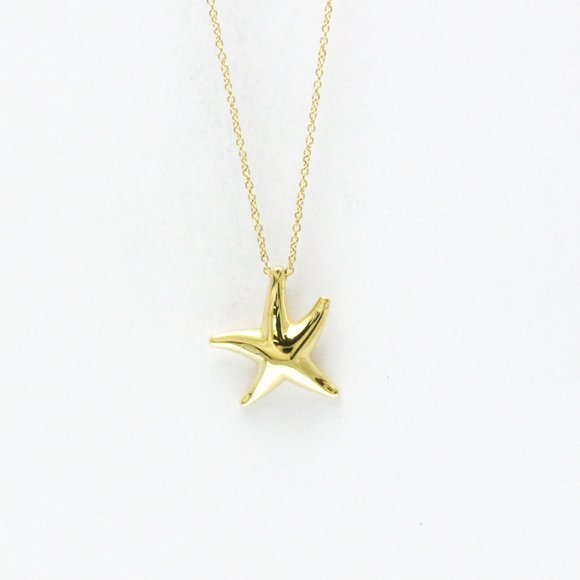 TIFFANY & CO. 18k Gold Necklace - Picture 1 of 13